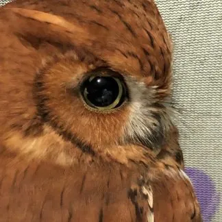 Review #194870, image #4