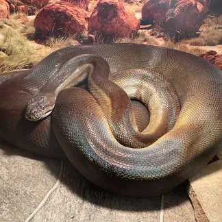 Review #194598, image #2