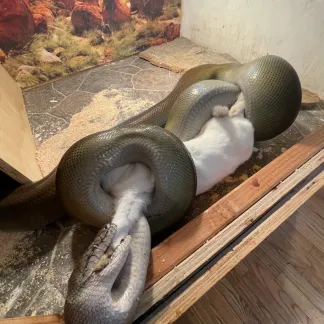 Review #194598, image #1