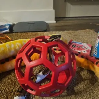 Review #197956, image #3