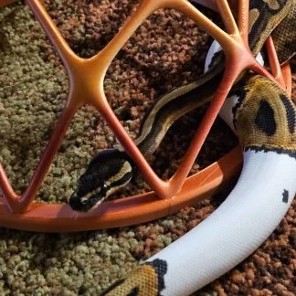 Review #197956, image #2