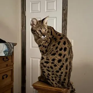 Review #198382, image #2