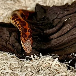 Review #201067, image #1