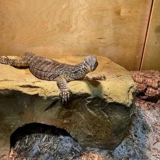 Review #204806, image #1