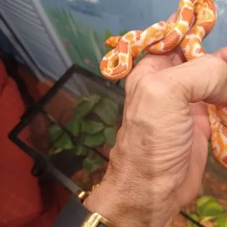 Review #206230, image #2