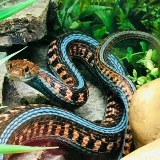 Review #204202, image #1