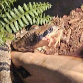 Review #209014, image #2