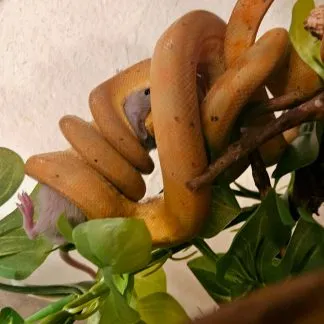 Review #209014, image #1