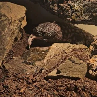 Review #209014, image #3