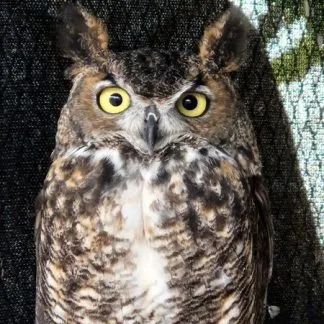 Review #209404, image #1