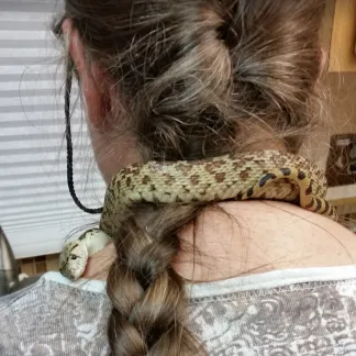 Review #211967, image #1