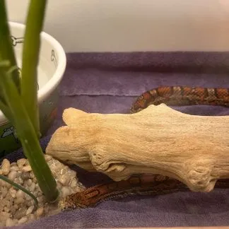 Review #224560, image #1