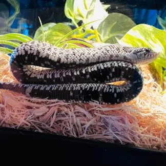 Review #224658, image #1