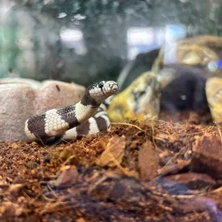 Review #224376, image #1