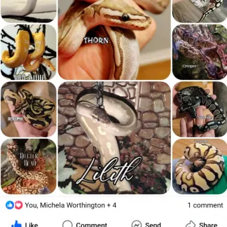 Review #223913, image #1