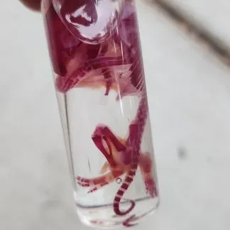 Review #226917, image #2