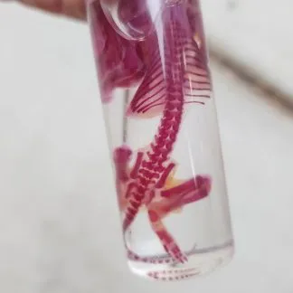 Review #226917, image #1