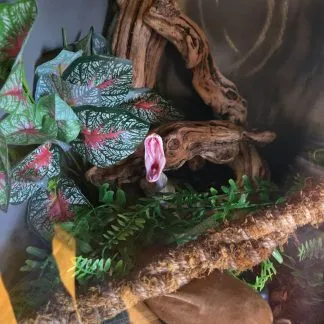 Review #225791, image #1