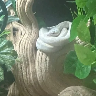 Review #225258, image #1