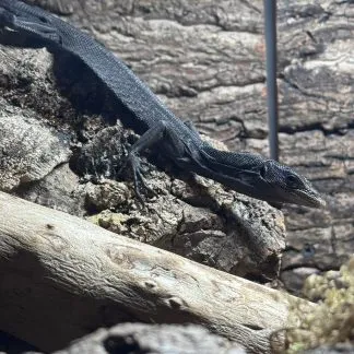 Review #225462, image #1