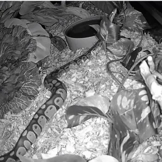 Review #226392, image #1