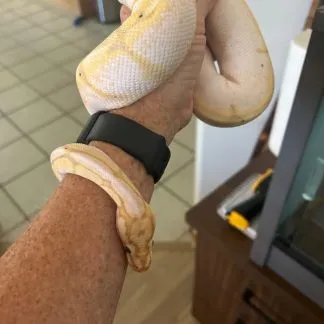 Review #226250, image #3