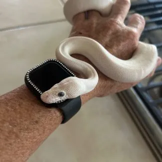 Review #226250, image #2