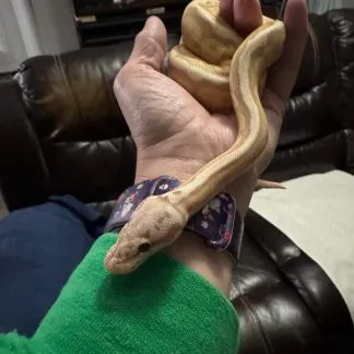 Review #225279, image #1