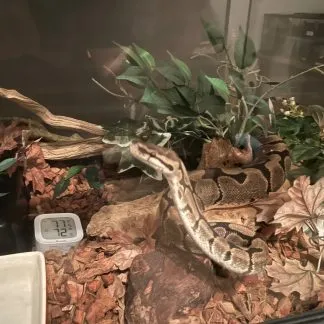 Review #226250, image #1