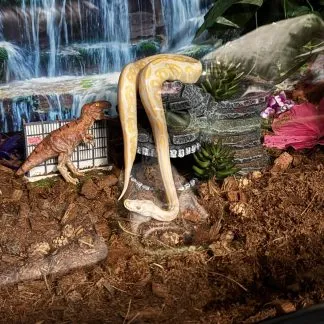 Review #225279, image #2