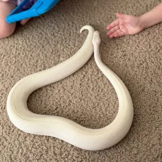 Review #227302, image #4