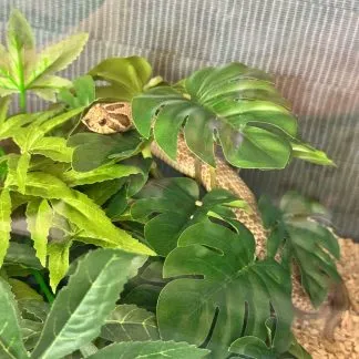 Review #227302, image #3