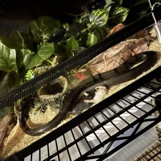 Review #227302, image #1