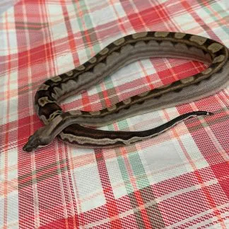 Review #227302, image #2