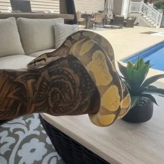 Review #226037, image #4