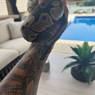 Review #226037, image #3