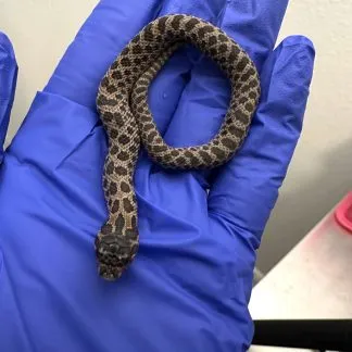 Review #227313, image #5