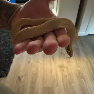 Review #226037, image #2