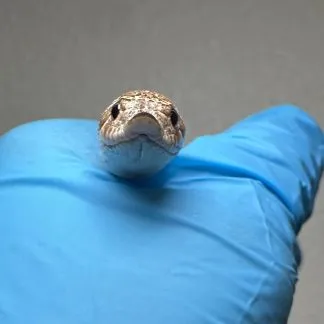 Review #227313, image #2