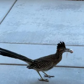 Review #225222, image #1