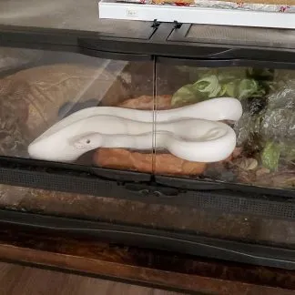 Review #226688, image #1