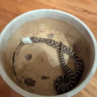 Review #229325, image #1