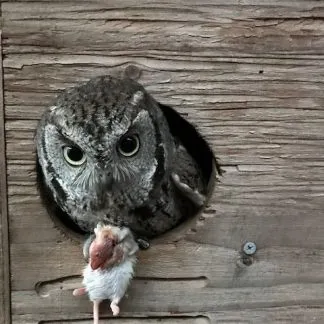 Review #229114, image #1