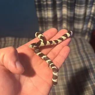 Review #229272, image #1