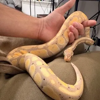 Review #229942, image #1