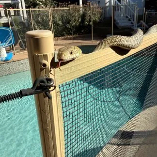 Review #229957, image #1