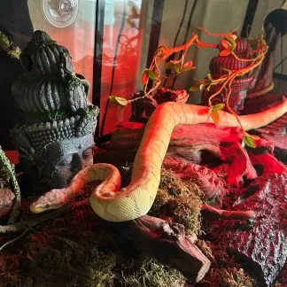 Review #228144, image #1