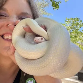 Review #229947, image #1