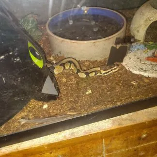 Review #232239, image #5