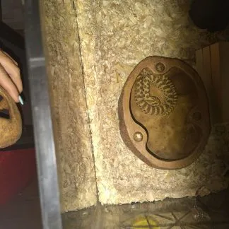 Review #232239, image #1